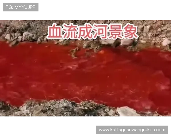 血流成河：血流成河场景中的常见陷阱与应对策略详解
